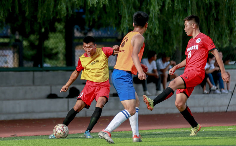 欧冠前瞻：勒沃库森盼延续欧战连胜势头，纽卡不会大幅轮换（欧冠前瞻：勒沃库森寻求延续欧战连胜，纽卡预计维持主力阵容）